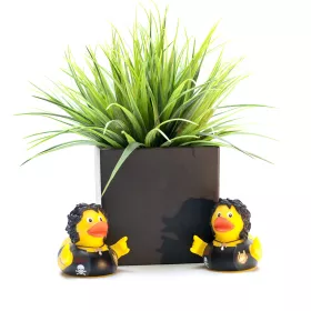 Kačenka gumová rocker