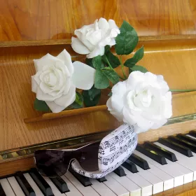 Pouzdro na brýle béžové s notami a růžemi Tempo di Valse