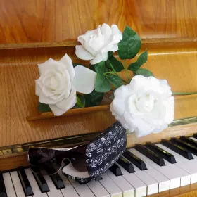 Pouzdro na brýle bílé s notami - partitura Bach