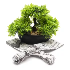 Čelenka vlasová textilní krémová s černými notami a houslemi