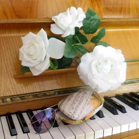  Pouzdro na brýle béžové s notami a růžemi Tempo di Valse