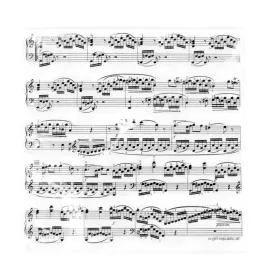 Ubrousky papírové bílé partitura černá