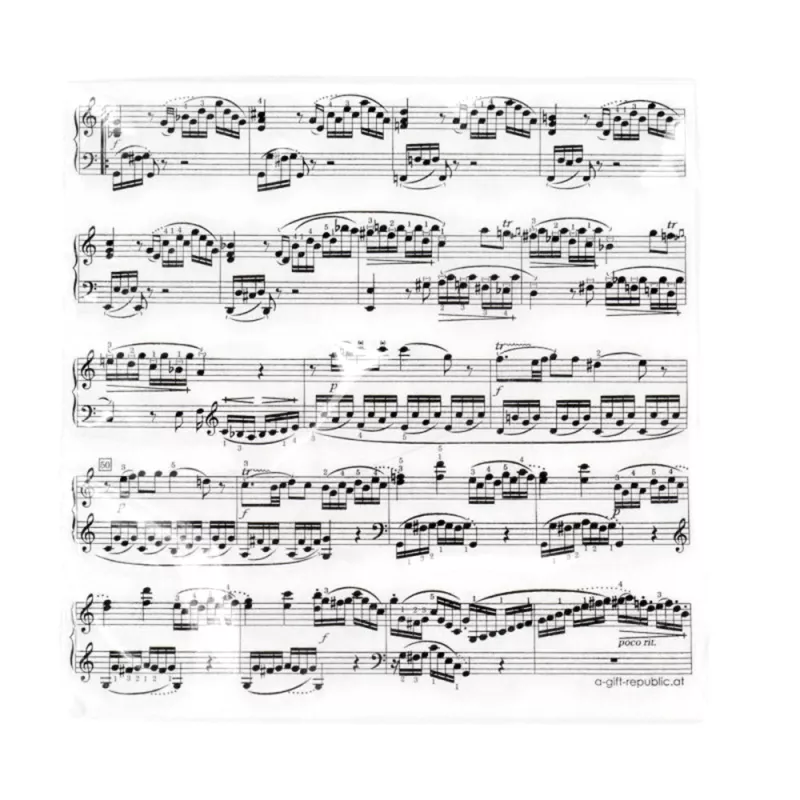 Ubrousky papírové bílé partitura černá